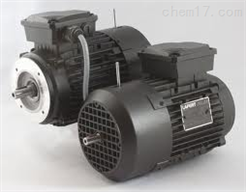 AMH112MCA2意大利LAFERT电机